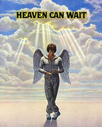 walk-in-reincarnation-research-heaven-can-wait